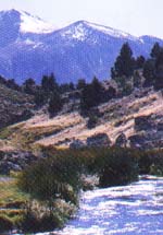 We have family suites, executive suites with a fireplace, surrounded by beautiful sierra mountains.