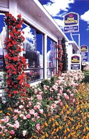 Welcome to the Best Western Bishop Holiday Spa Lodge, located in Bishop, California