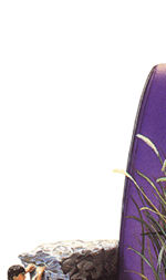 Click This Ad To Visit Our Website
